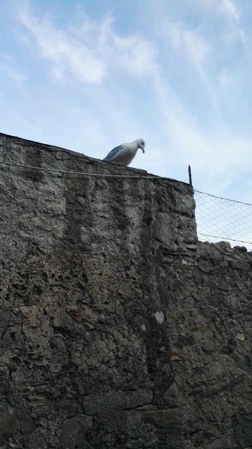 Il Nido Dei Gabbiani Villa Porto Venere Exteriör bild